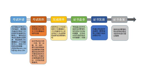 营养指导能力提升项目试点机构设置及工作流程 结合游戏研发与推广的创新策略