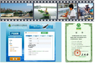 草鱼提质减排关键技术研发与产业化应用 荣获水科院科技进步一等奖
